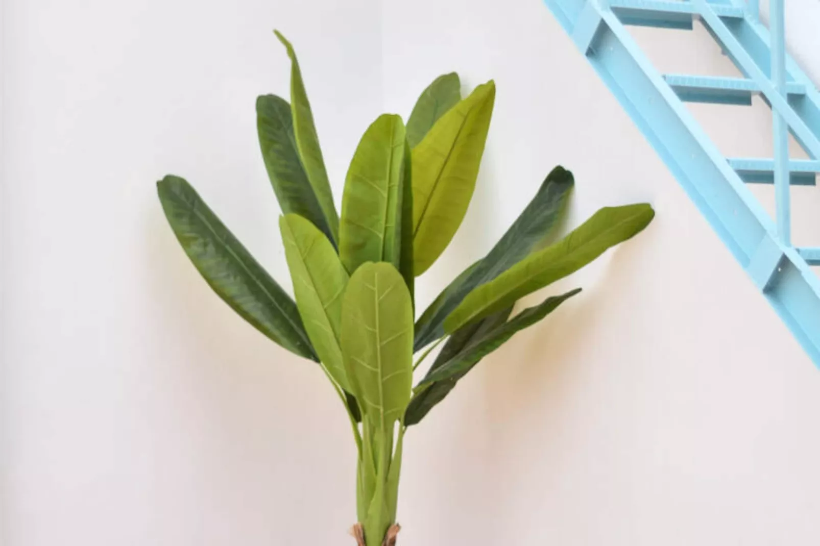 Maison à Moncofar-Niet-getagd