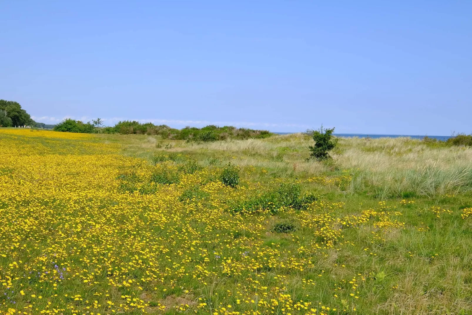 4 persoons vakantie huis in Gedser-Niet-getagd