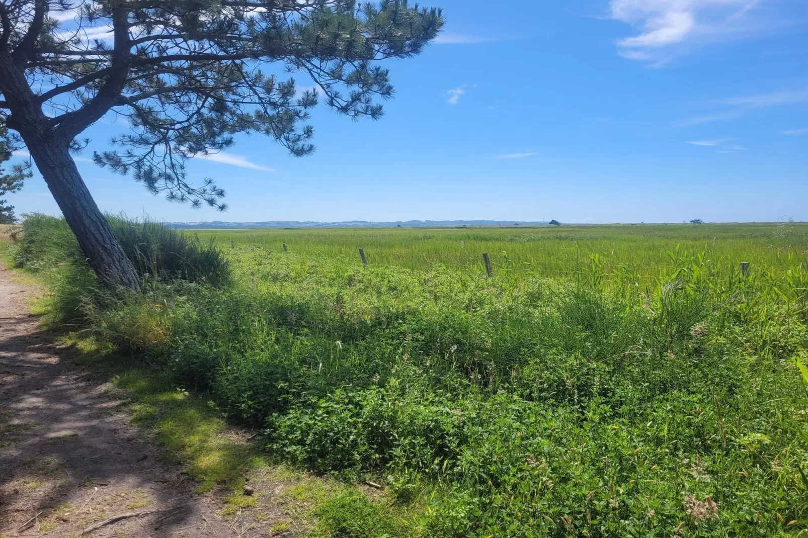 6 persoons vakantie huis in Højby-Niet-getagd