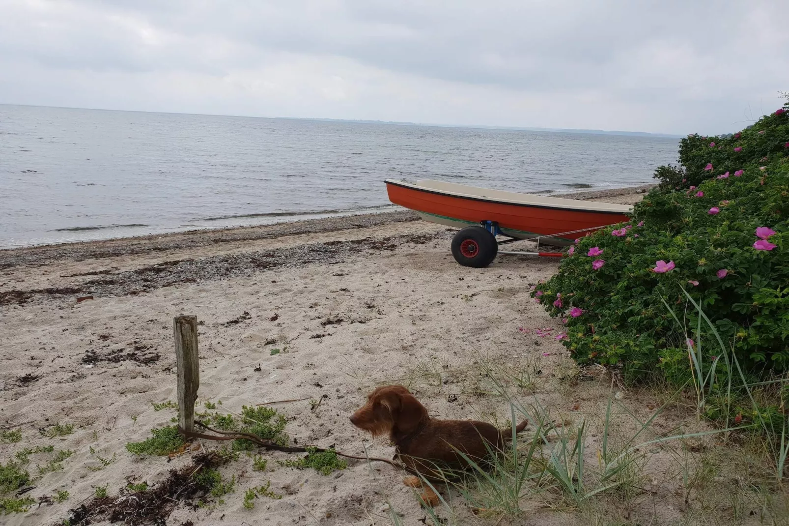 4 persoons vakantie huis in Haderslev-Waterzicht