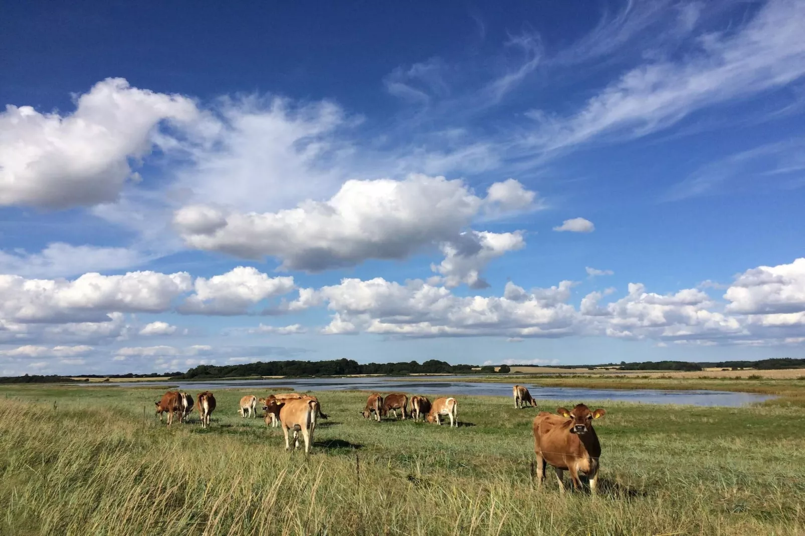 4 persoons vakantie huis in Assens-Niet-getagd