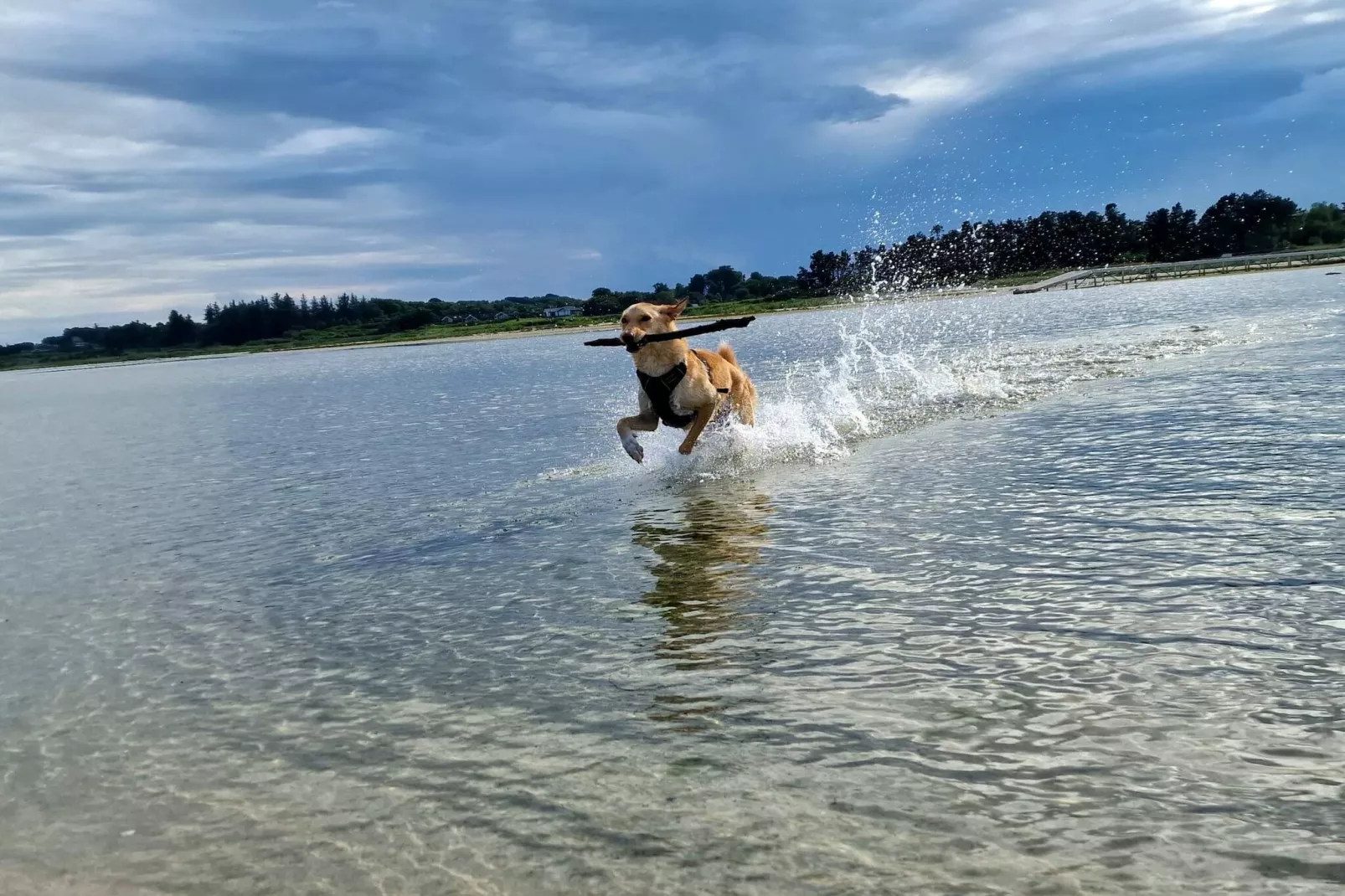 Luxe toevluchtsoord in oster Hurup-By Traum-Waterzicht