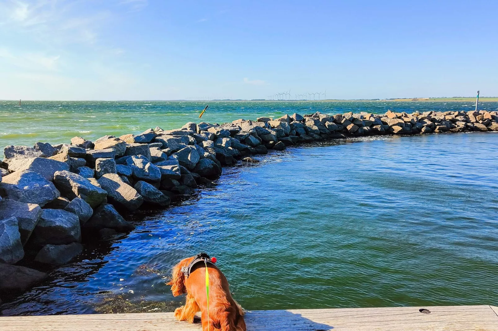 5 persoons vakantie huis in Løgstør-Waterzicht