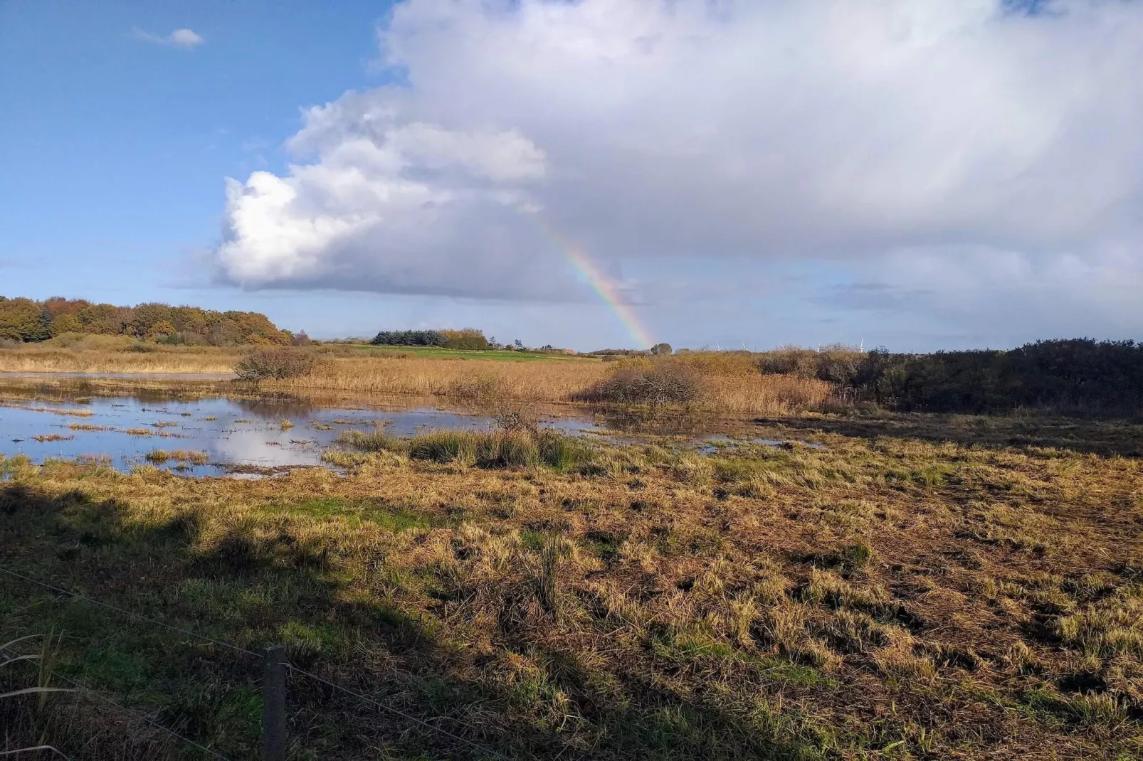 4 persoons vakantie huis in Bøvlingbjerg-Waterzicht