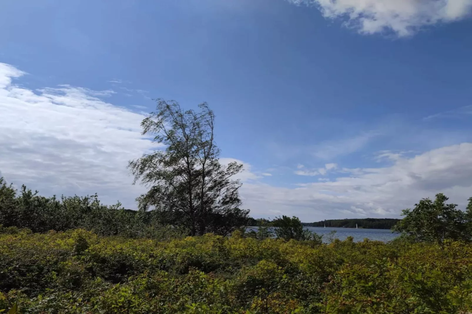 20 persoons vakantie huis in Svendborg-Waterzicht