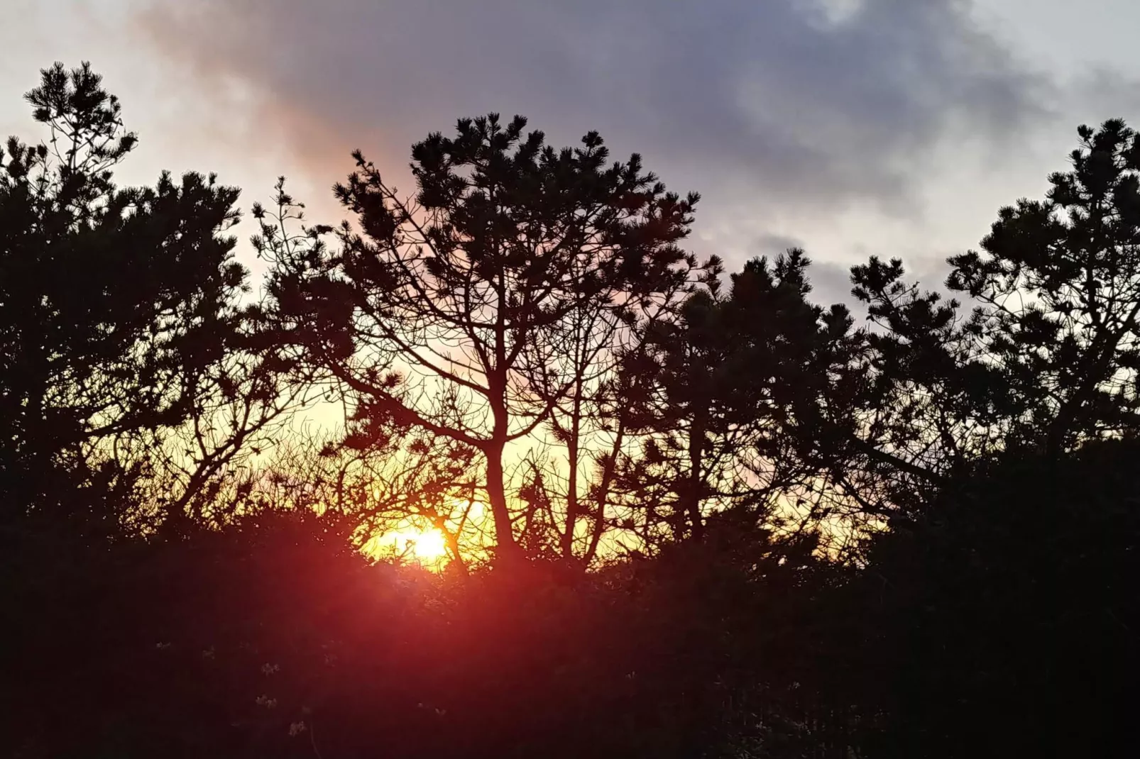 Rustieke toevluchtsoord in Klitmoller-By Traum-Niet-getagd