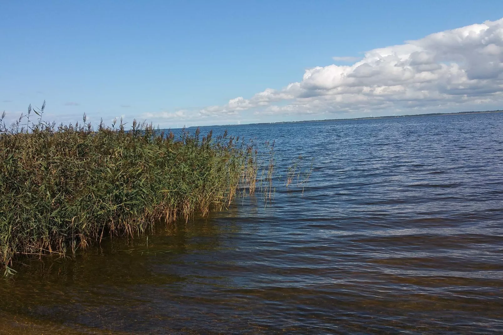 6 persoons vakantie huis in Ulfborg-Waterzicht