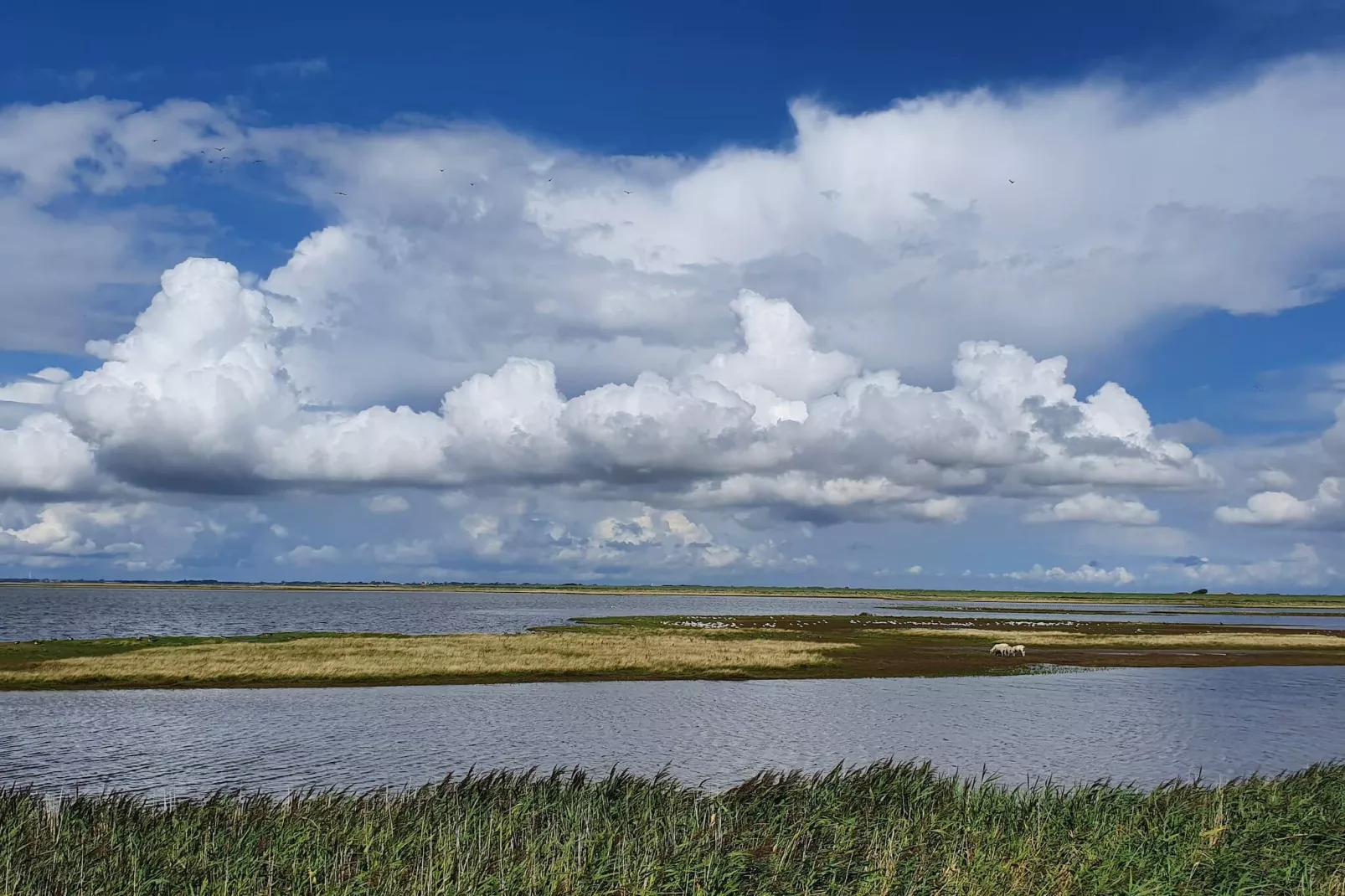 10 persoons vakantie huis in Højer-Waterzicht