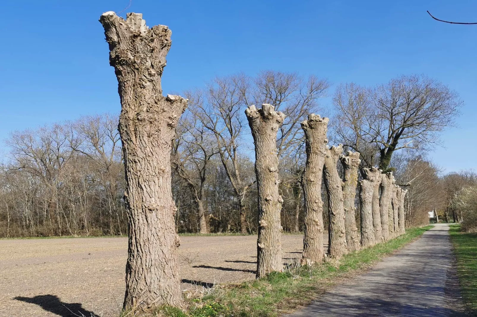 5 persoons vakantie huis in Holeby-Niet-getagd