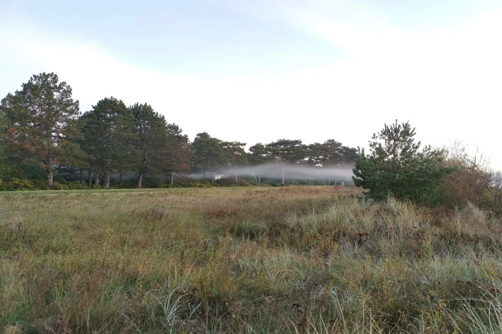 Moderne Oase in Marielyst-By Traum-Niet-getagd