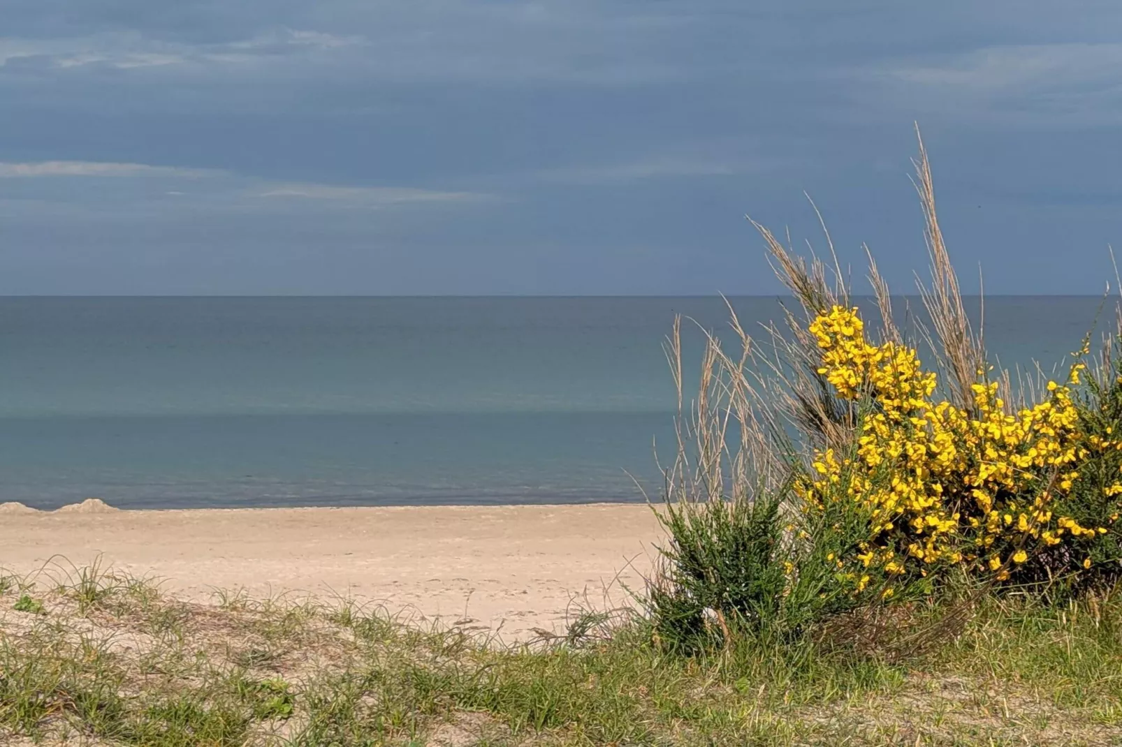 18 persoons vakantie huis in Væggerløse-Waterzicht