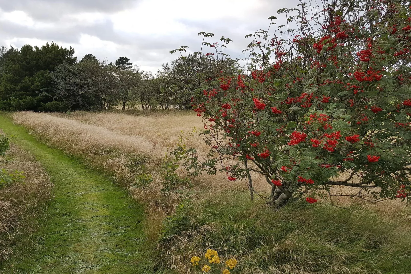 6 persoons vakantie huis in Fjerritslev-Niet-getagd