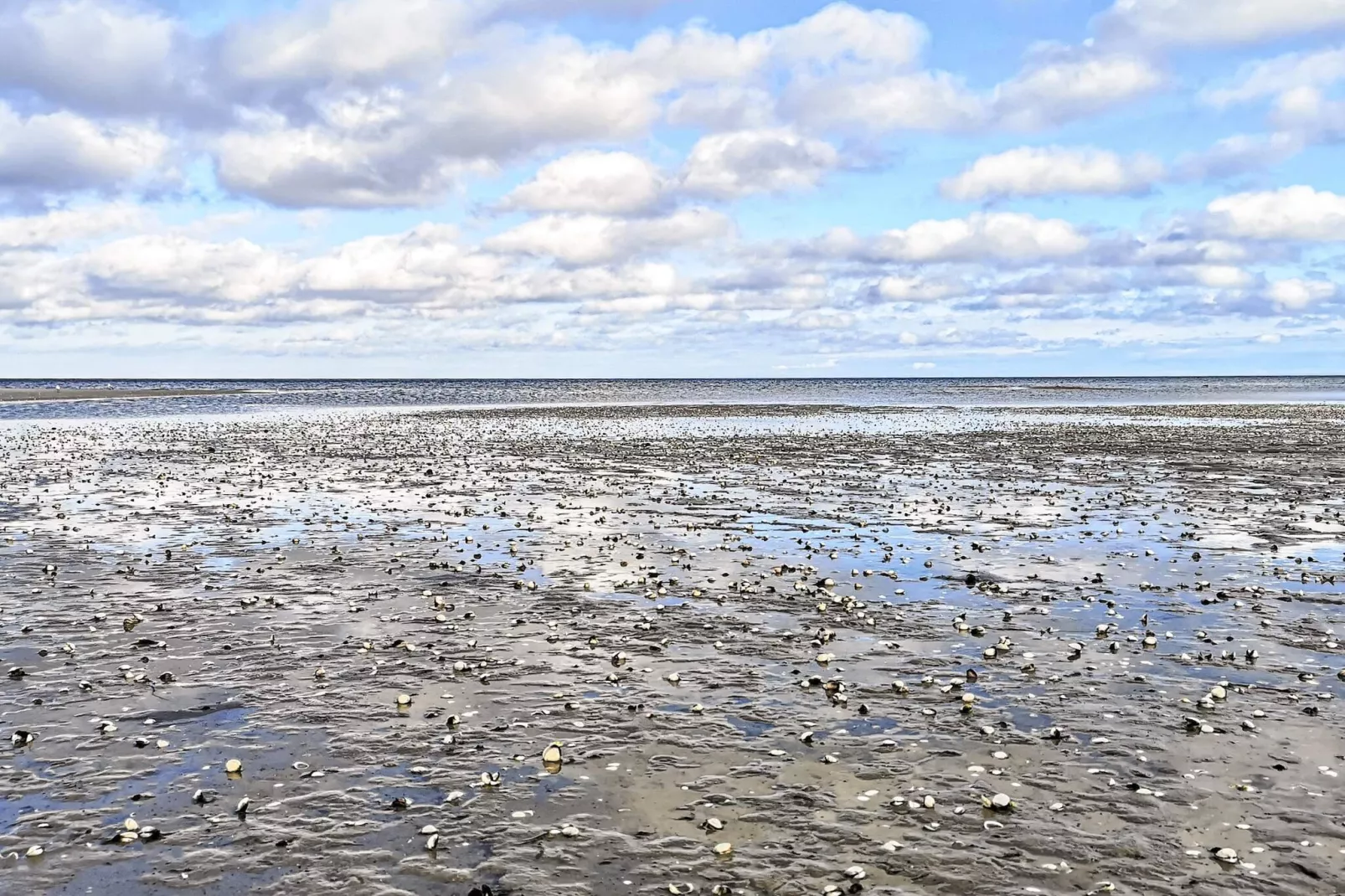 8 persoons vakantie huis in Væggerløse-Waterzicht