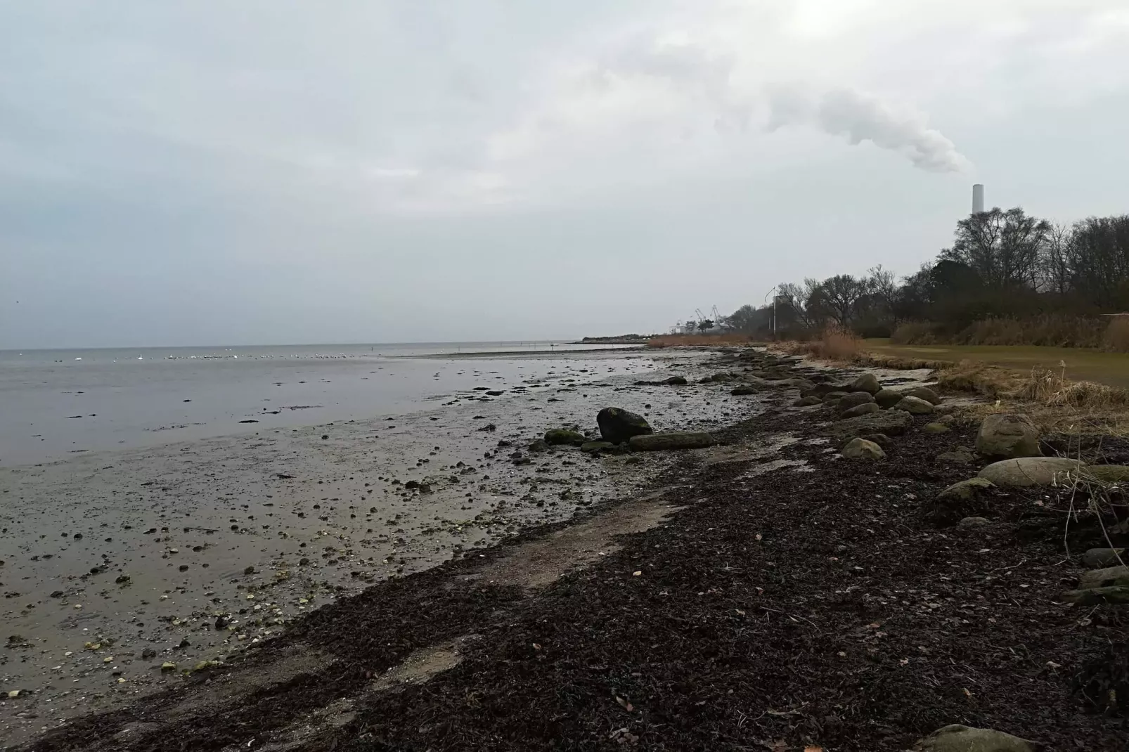 4 persoons vakantiehuis-Waterzicht