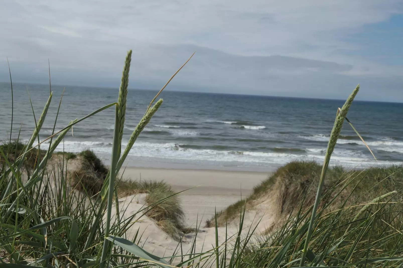 8 persoons vakantie huis in Ringkøbing-Waterzicht