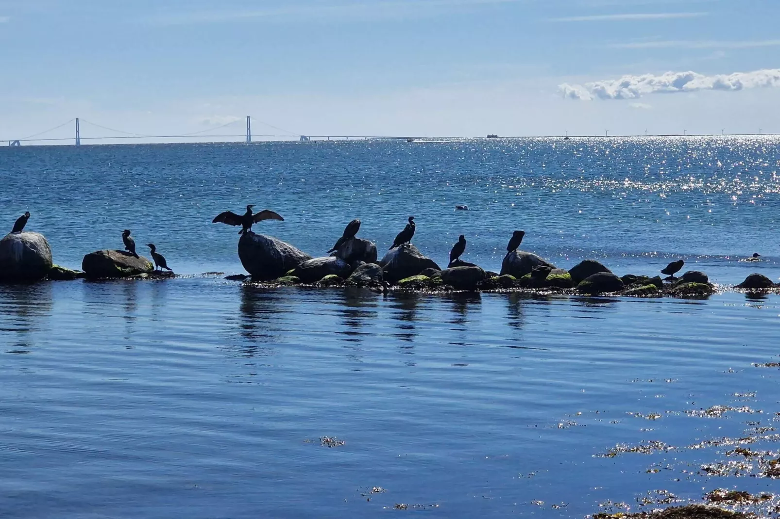 6 persoons vakantie huis in Gørlev-Waterzicht