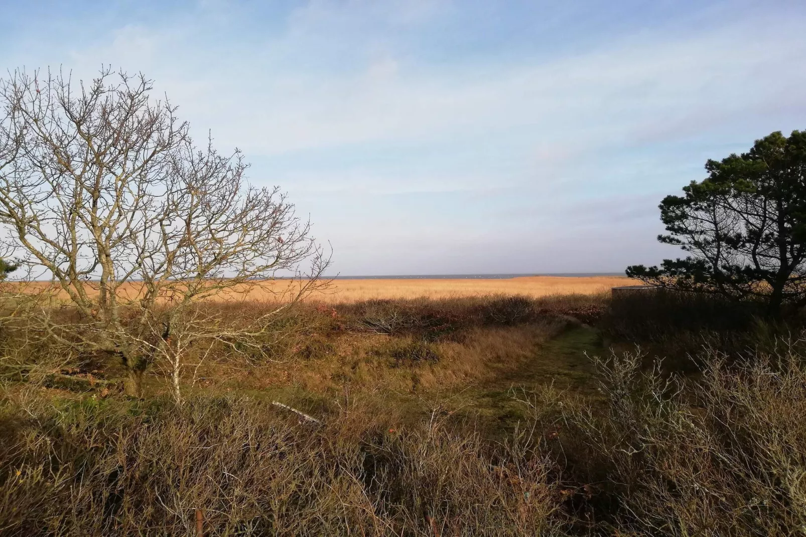 5 persoons vakantie huis in Hvide Sande-Niet-getagd