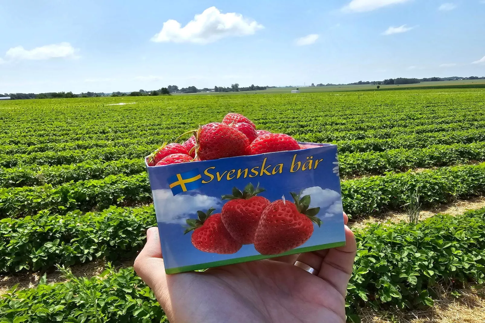 4 persoons vakantie huis in LÖDDEKÖPINGE-Niet-getagd