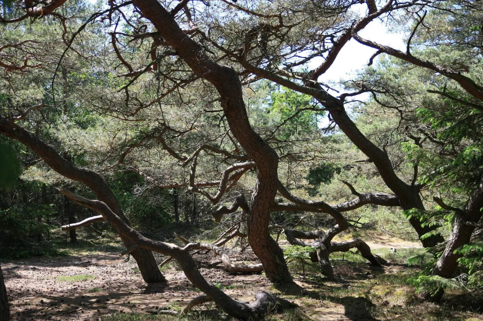 8 persoons vakantie huis in Melby-By Traum-Niet-getagd