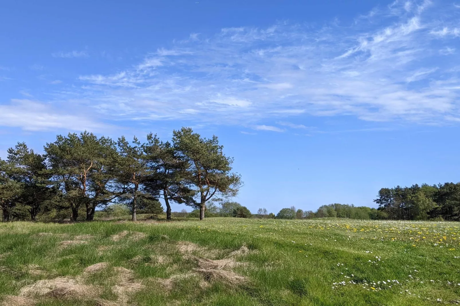 6 persoons vakantie huis in DEGEBERGA-By Traum-Niet-getagd