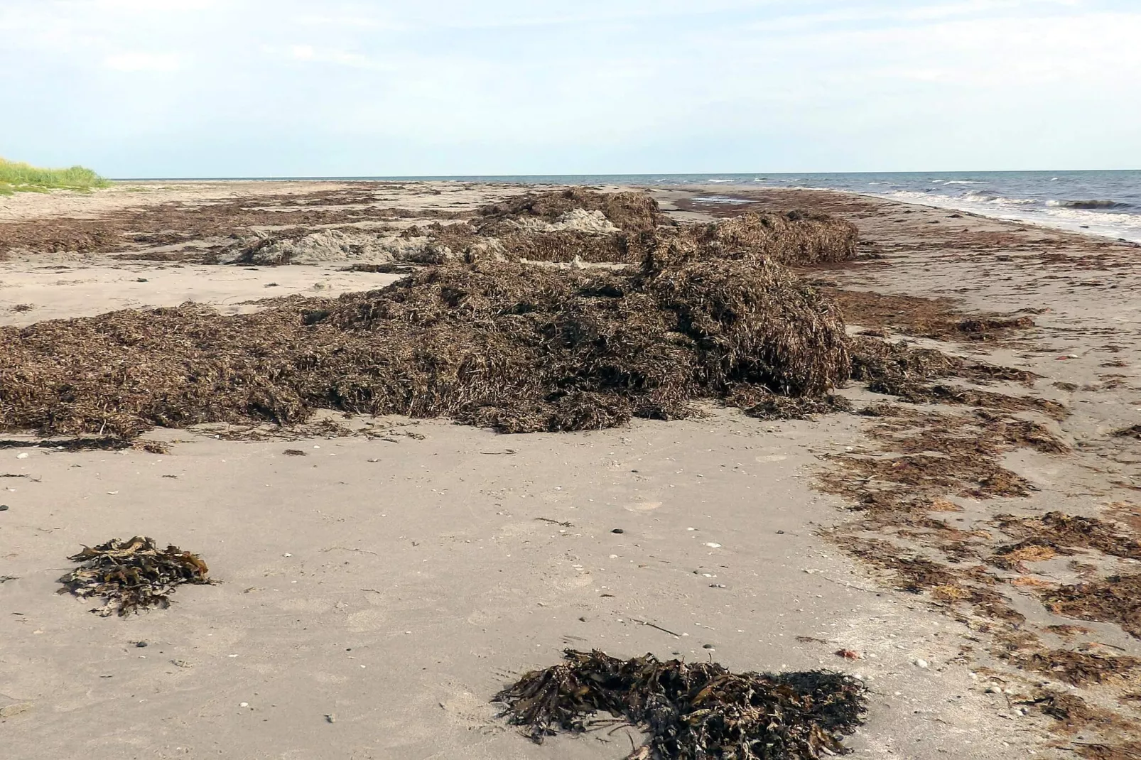8 persoons vakantie huis in Læsø-By Traum-Niet-getagd