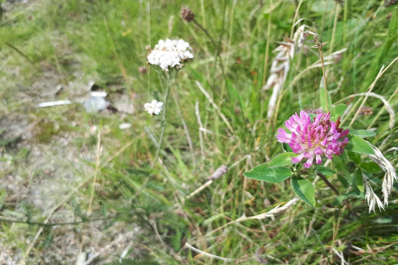 Luxe retraite bij Ho Baai -- By Traum Ferienwohnungen-Niet-getagd