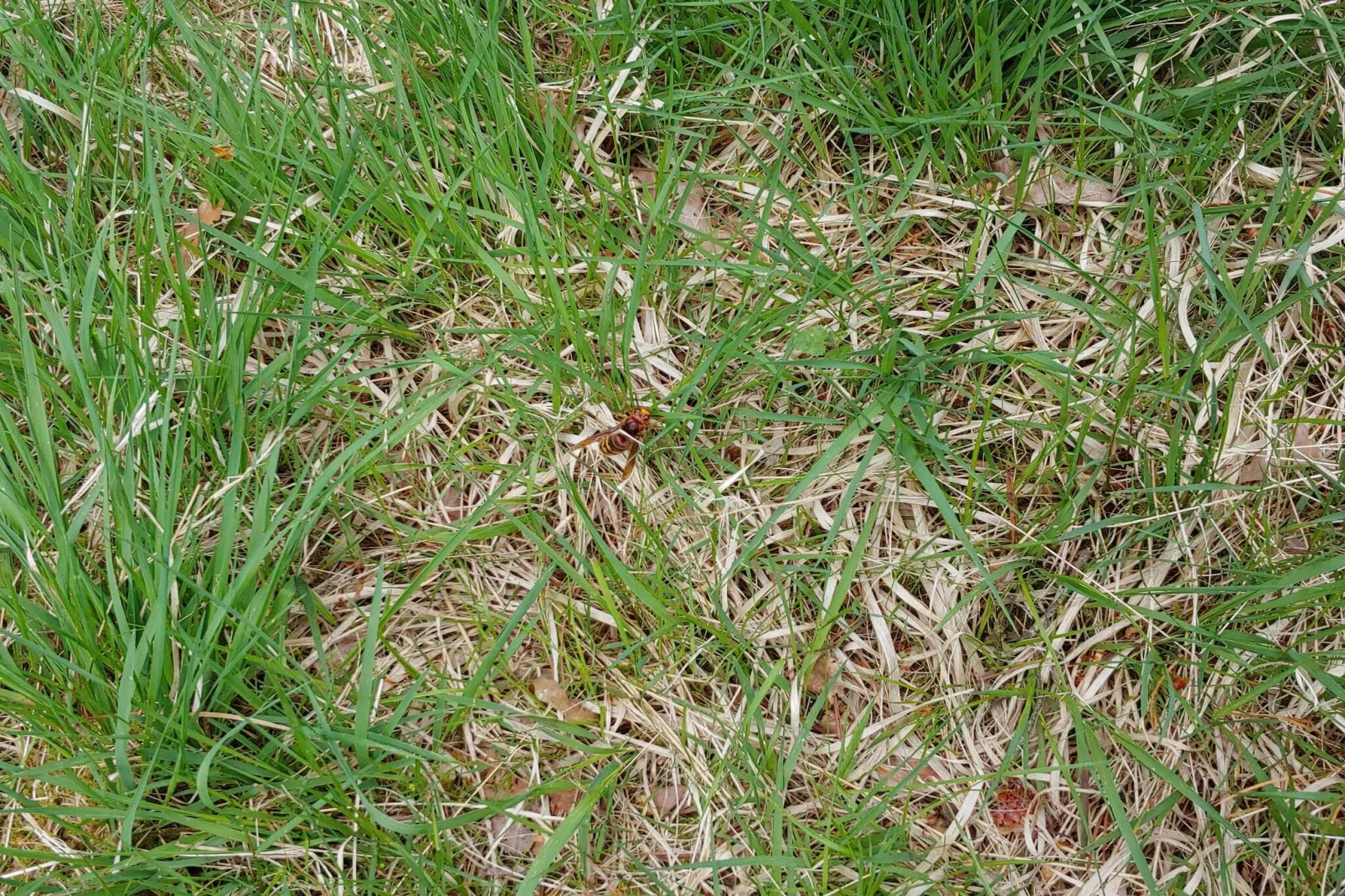 Luxe retraite met zwembad -- By Traum Ferienwohnungen-Waterzicht