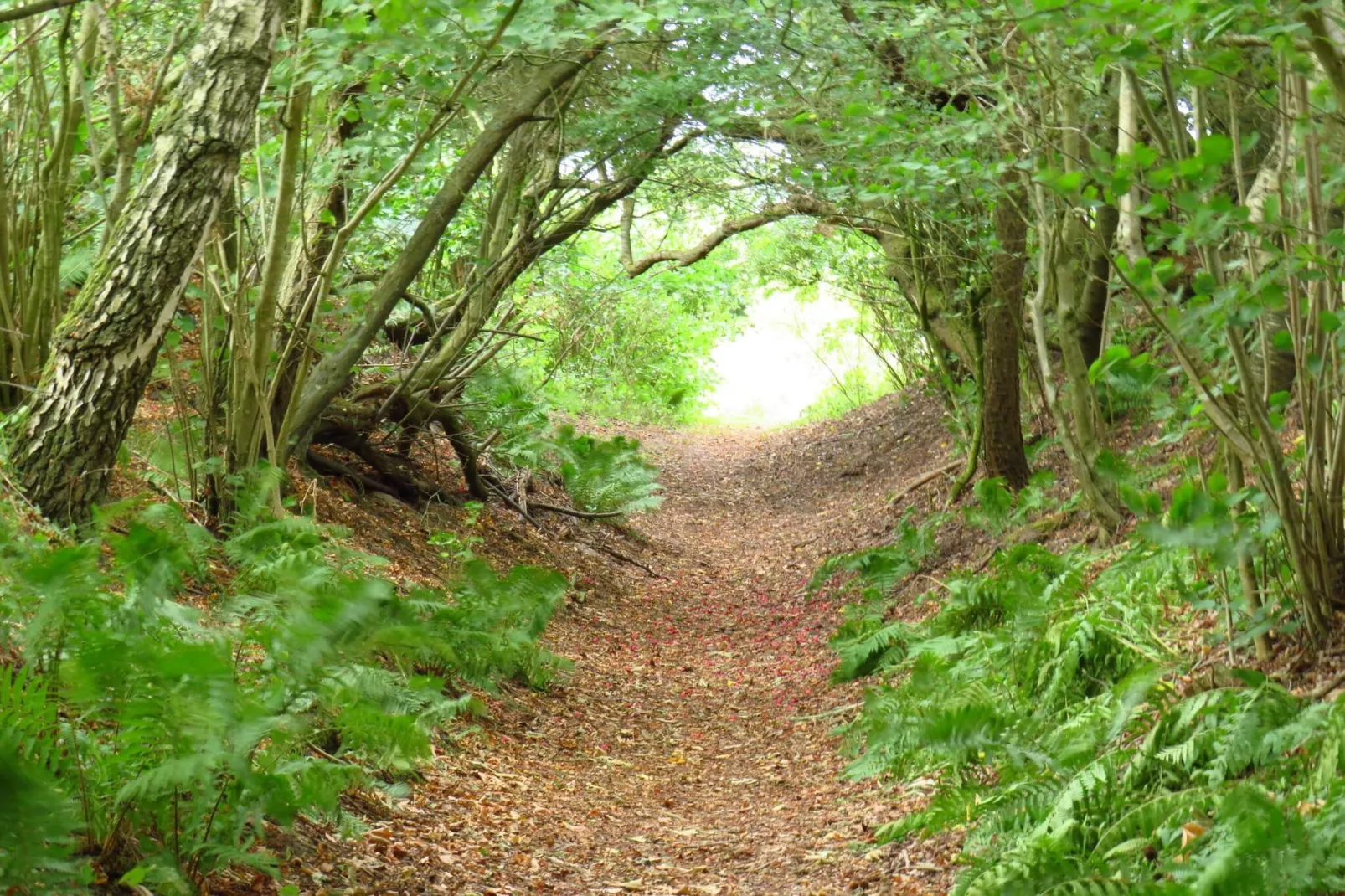 Rustieke kustretreat -- By Traum Ferienwohnungen-Niet-getagd