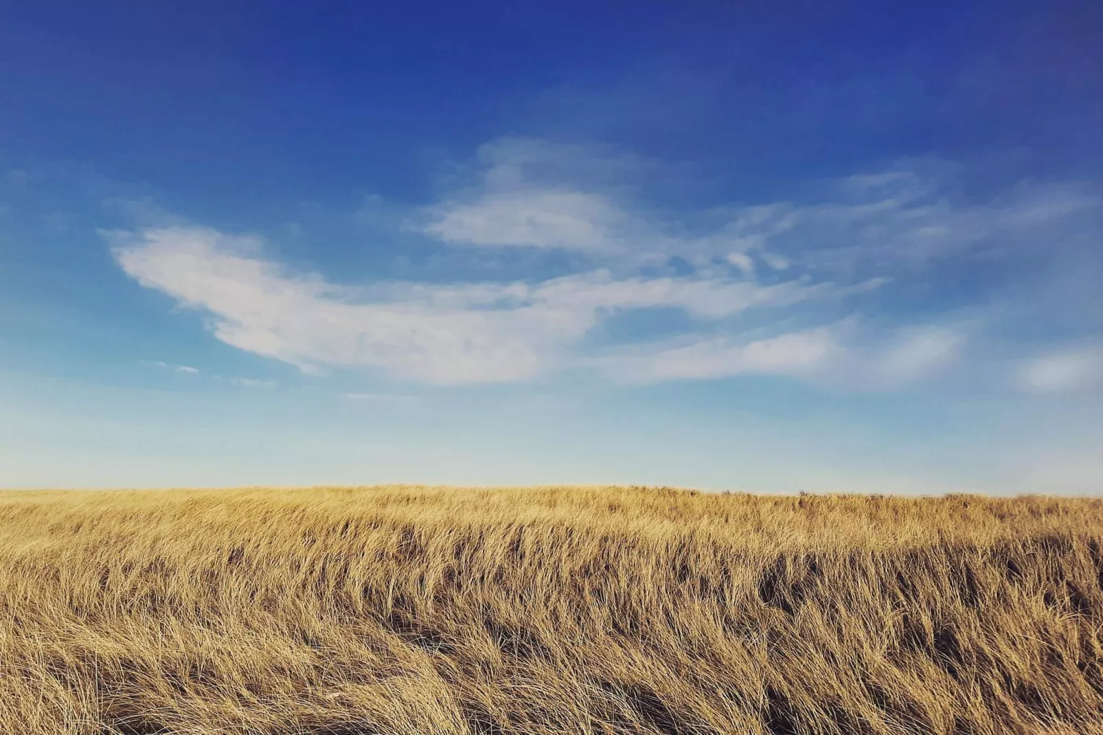 7 persoons vakantie huis in Frøstrup-Waterzicht