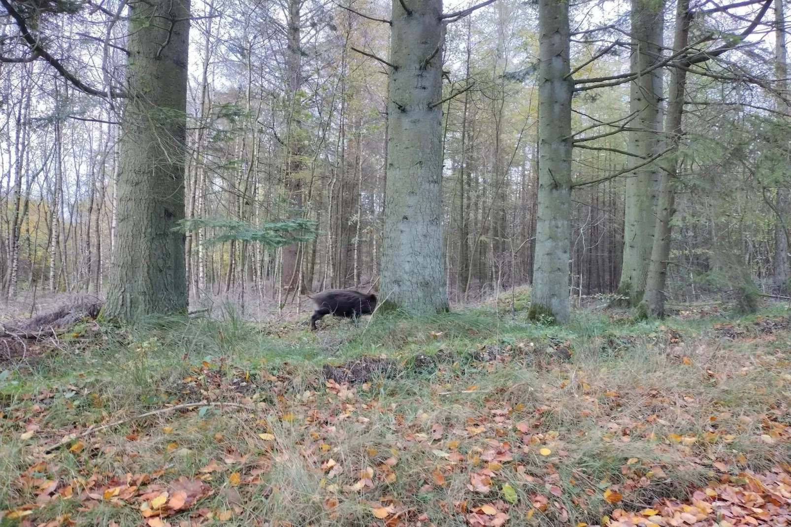 6 persoons vakantie huis in Hovborg-By Traum-Niet-getagd