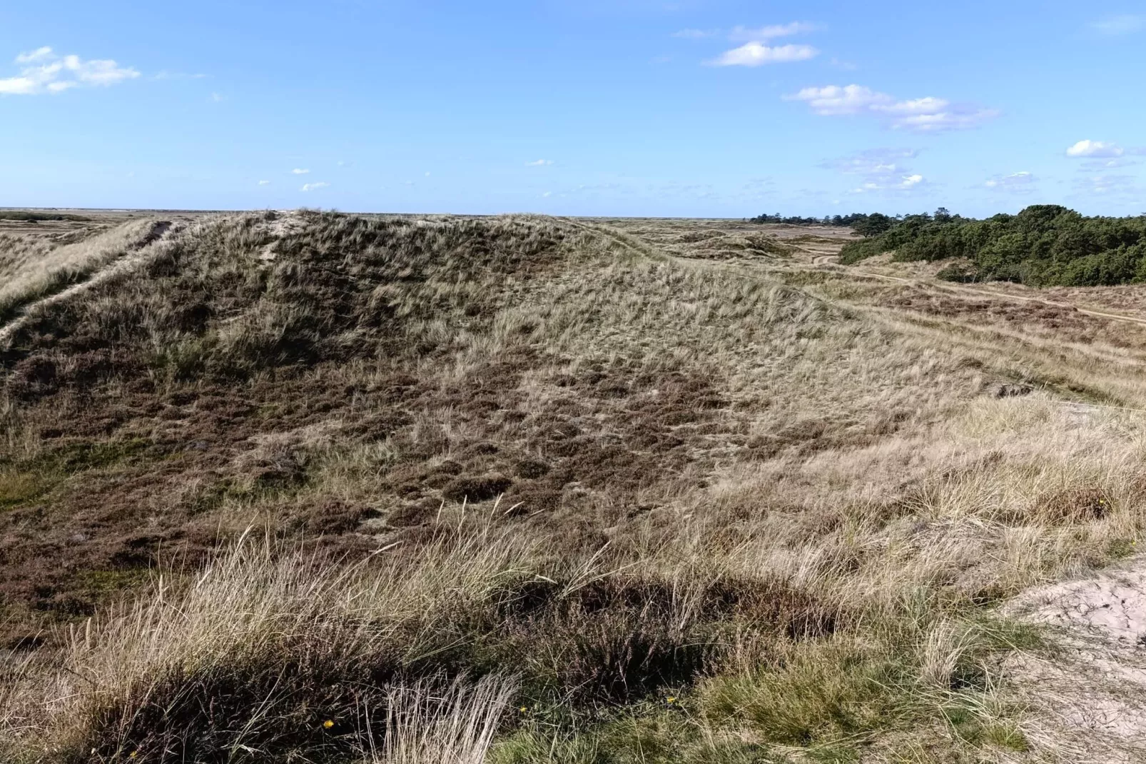 6 persoons vakantie huis in Rømø-By Traum-Niet-getagd