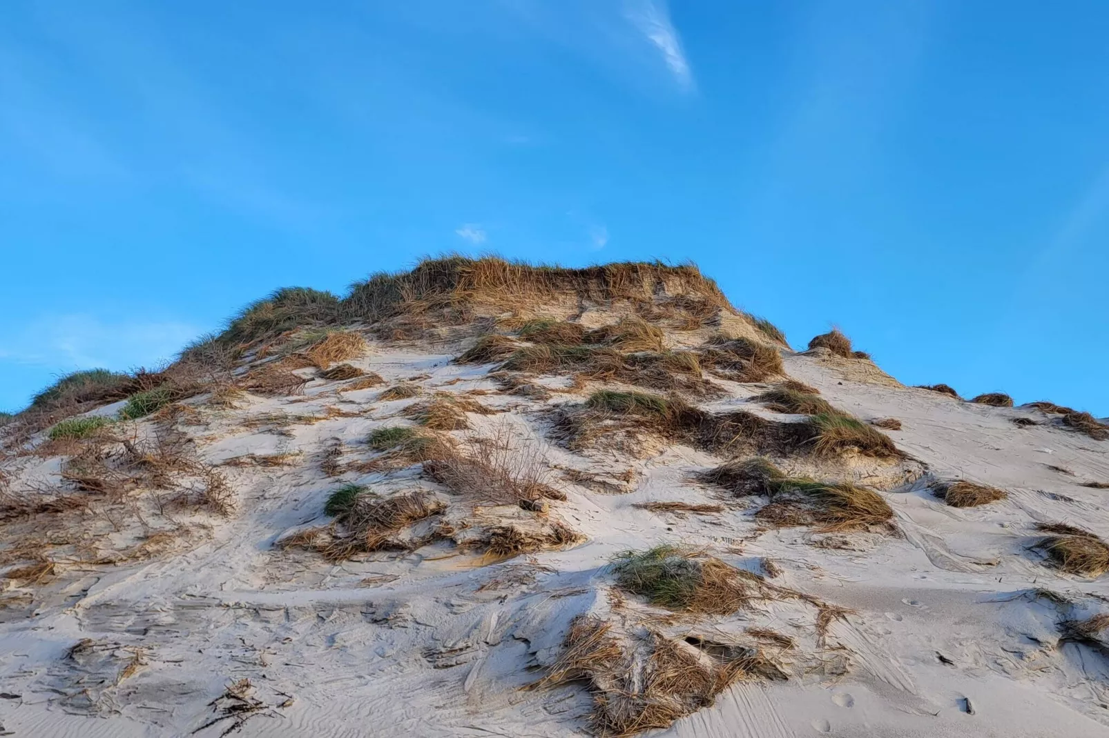 Gezellig strandhuis -- By Traum Ferienwohnungen-Niet-getagd