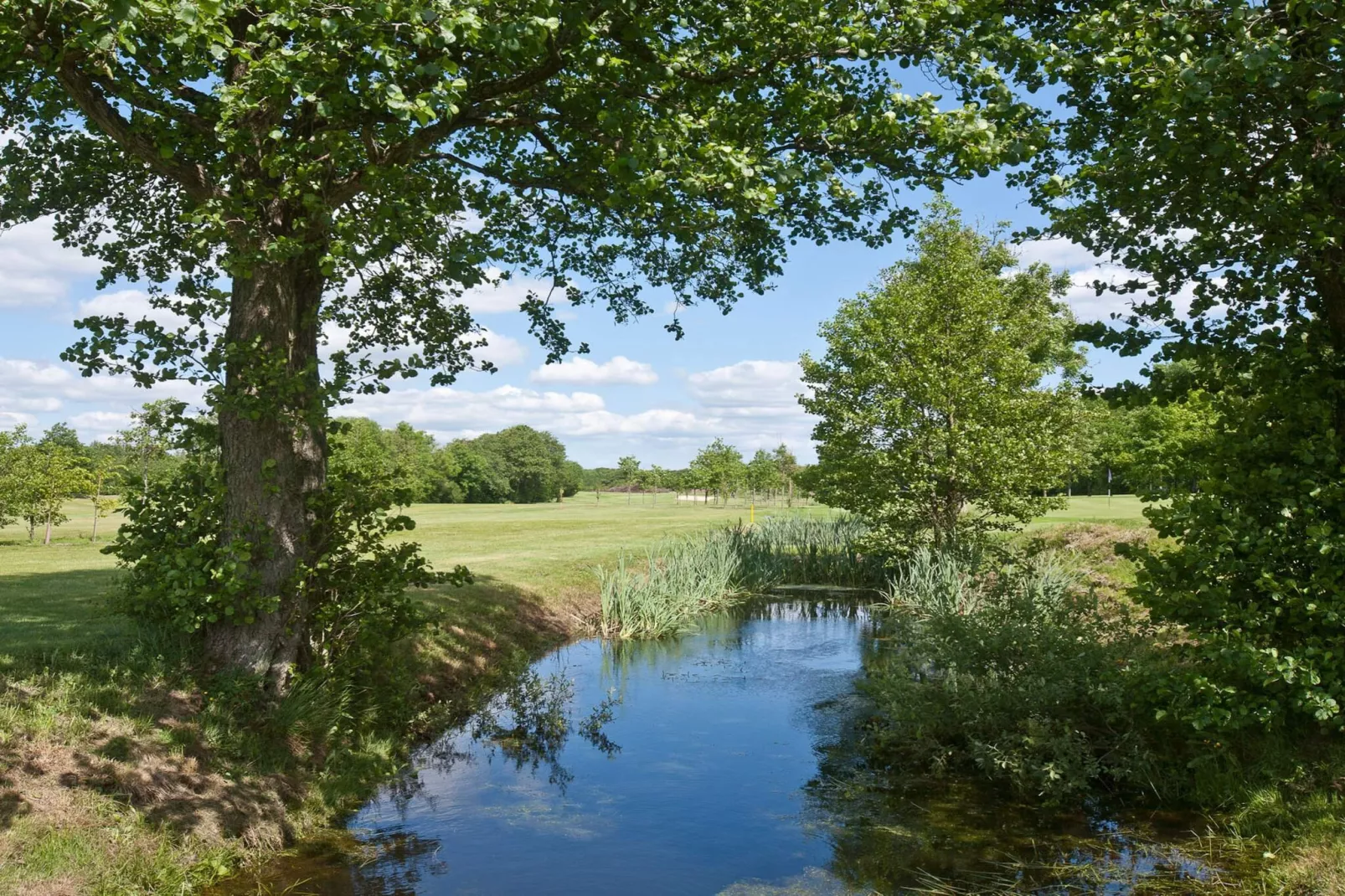 Panoramisch toevluchtsoord in Andkaer Vig -- By Traum Ferienwohnungen-Waterzicht