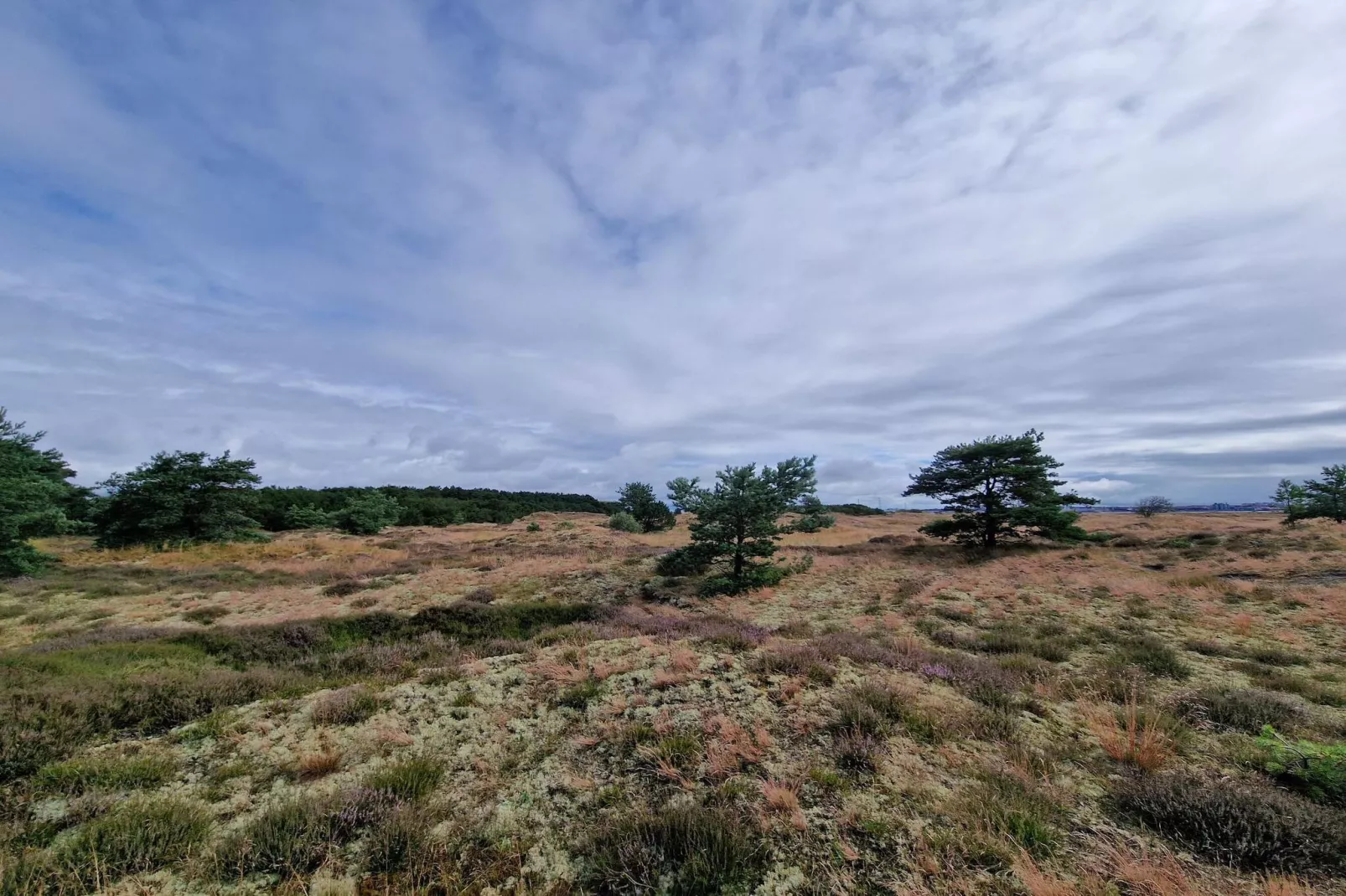 4 persoons vakantie huis in Fanø-By Traum-Niet-getagd