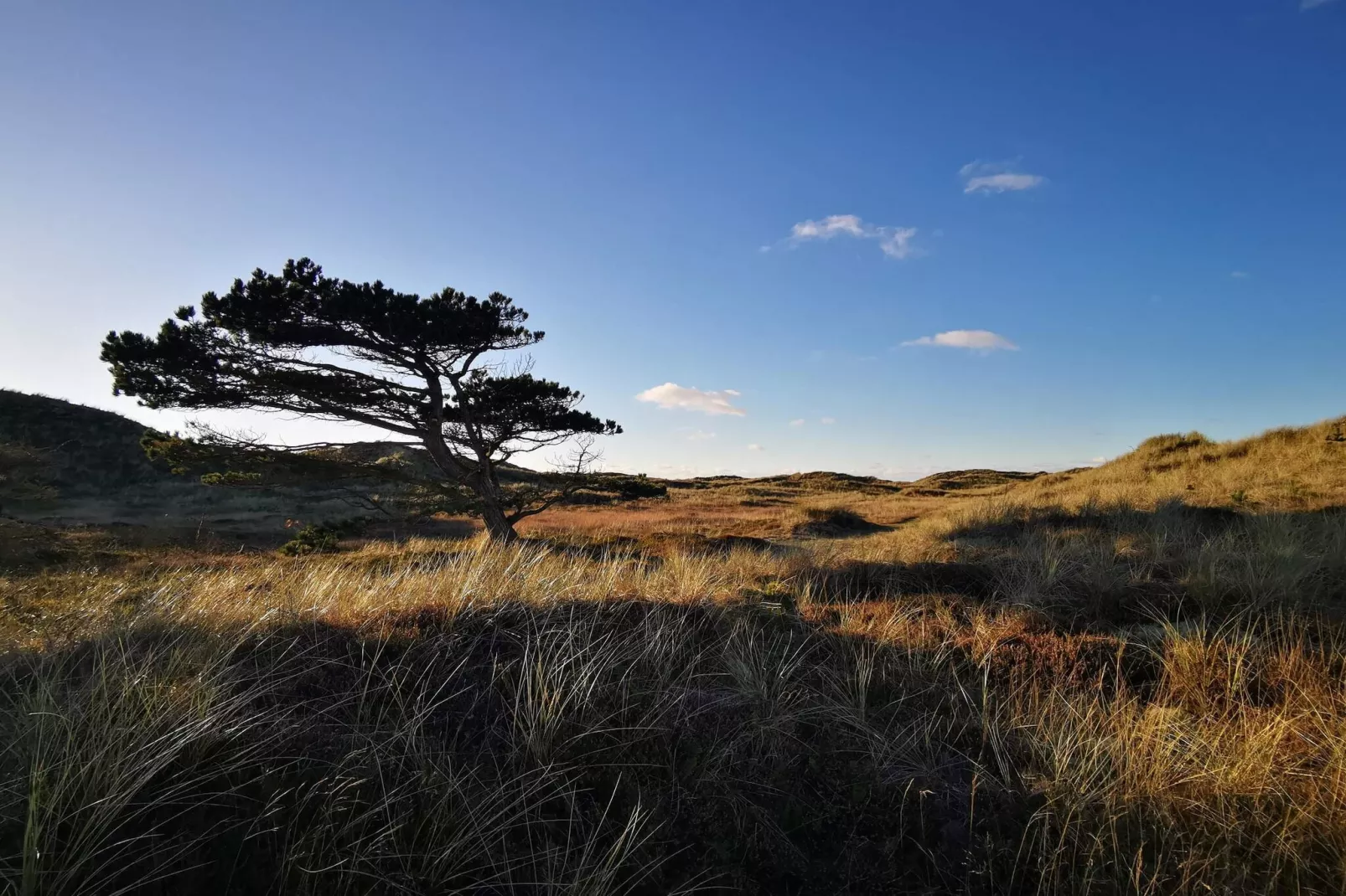 6 persoons vakantie huis in Ulfborg-By Traum-Niet-getagd