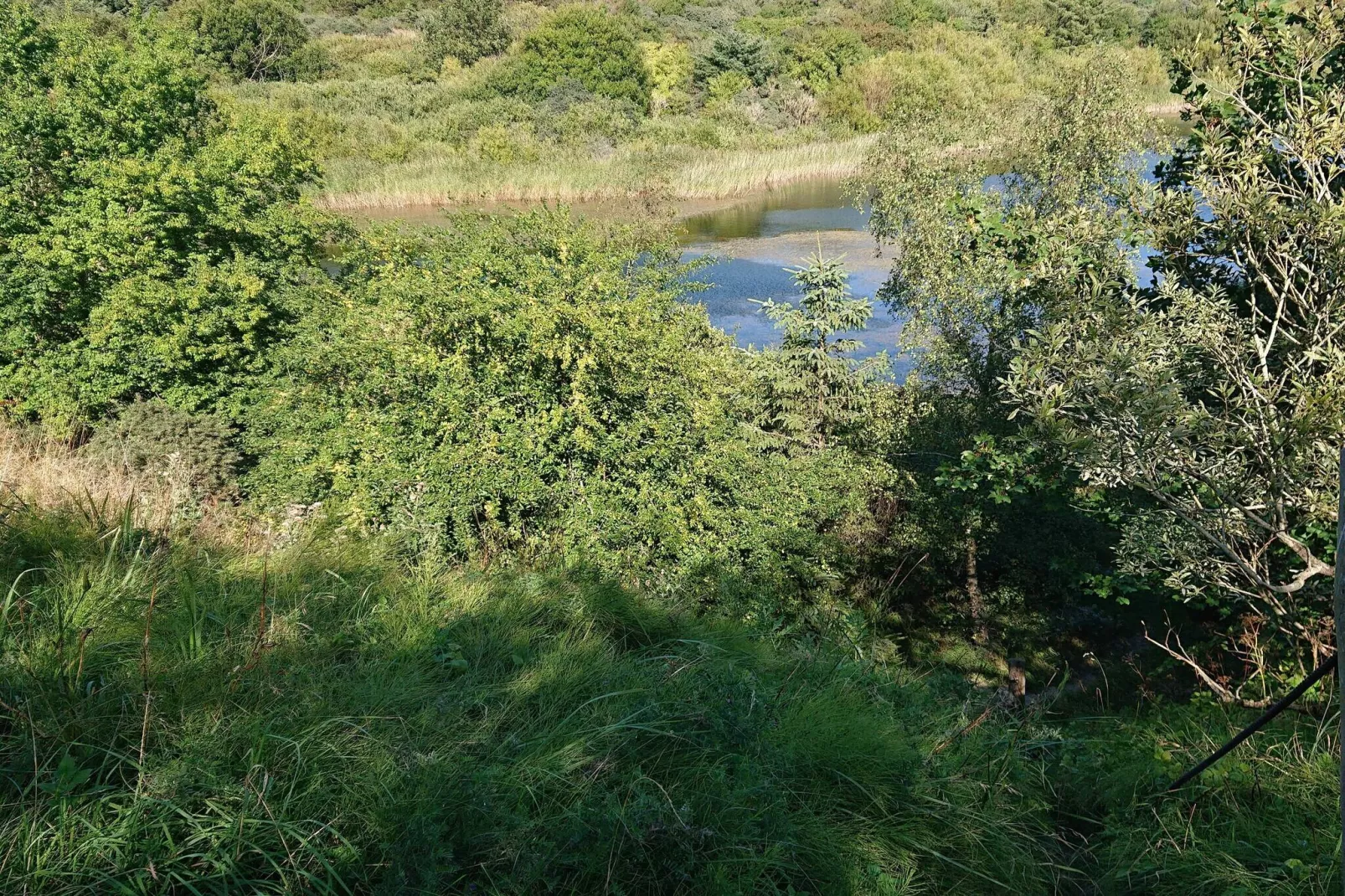 6 persoons vakantie huis in Pandrup-Waterzicht