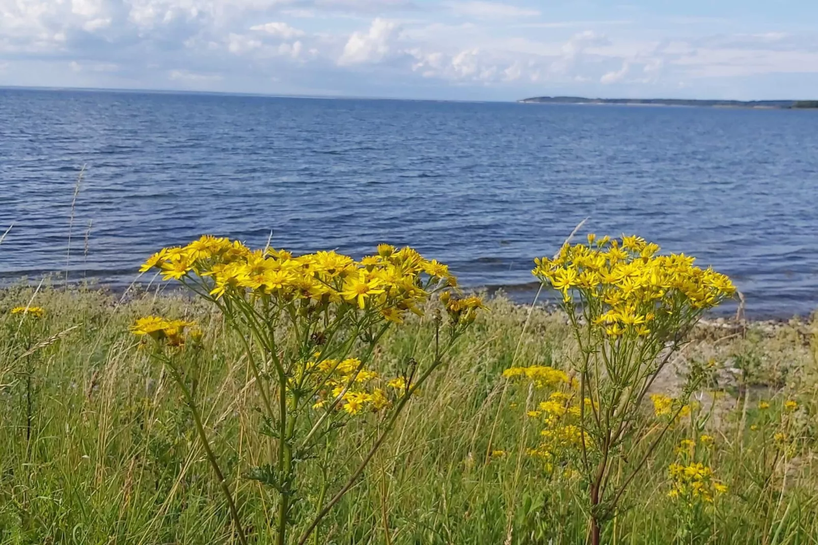 8 persoons vakantie huis in Bogense-By Traum-Waterzicht
