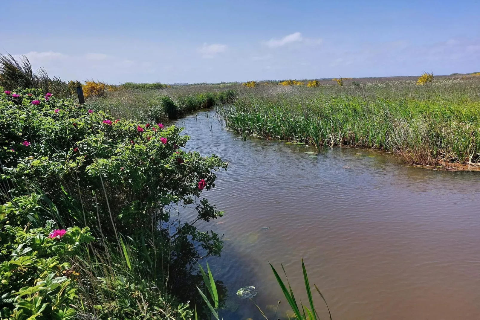 10 persoons vakantie huis in Tarm-By Traum-Waterzicht