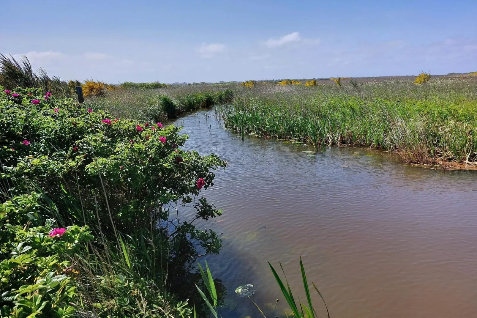 6 persoons vakantie huis in Hemmet-By Traum-Waterzicht