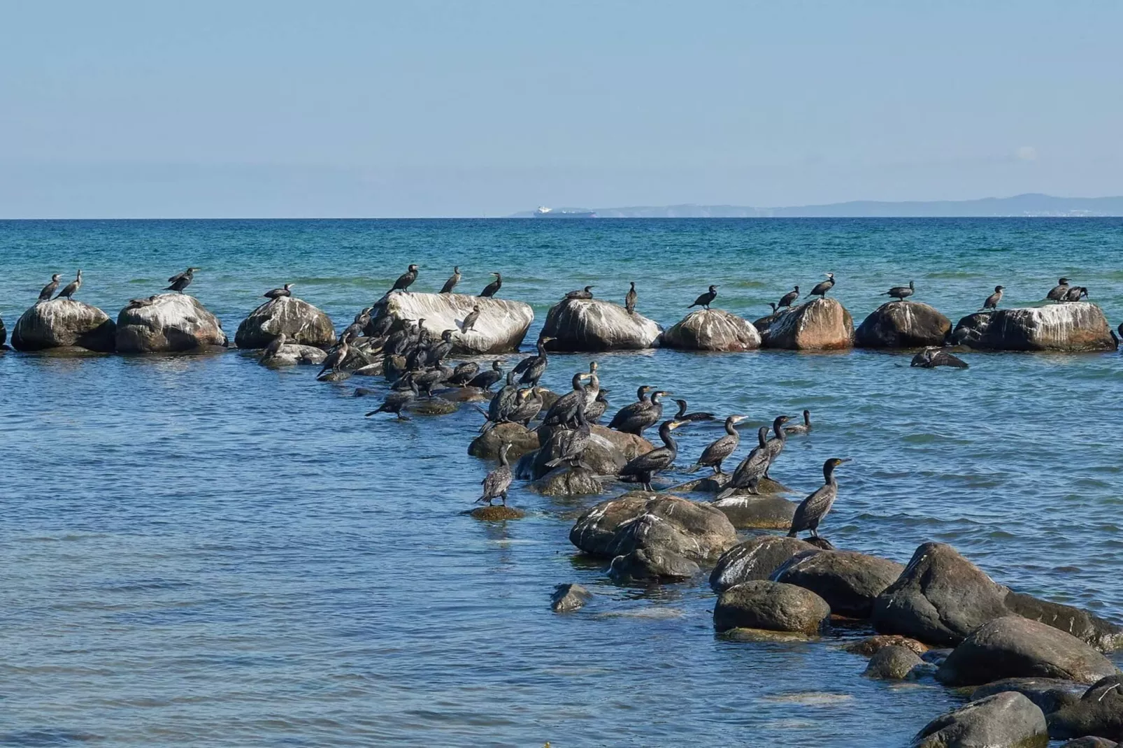 6 persoons vakantie huis in Gilleleje-By Traum-Waterzicht