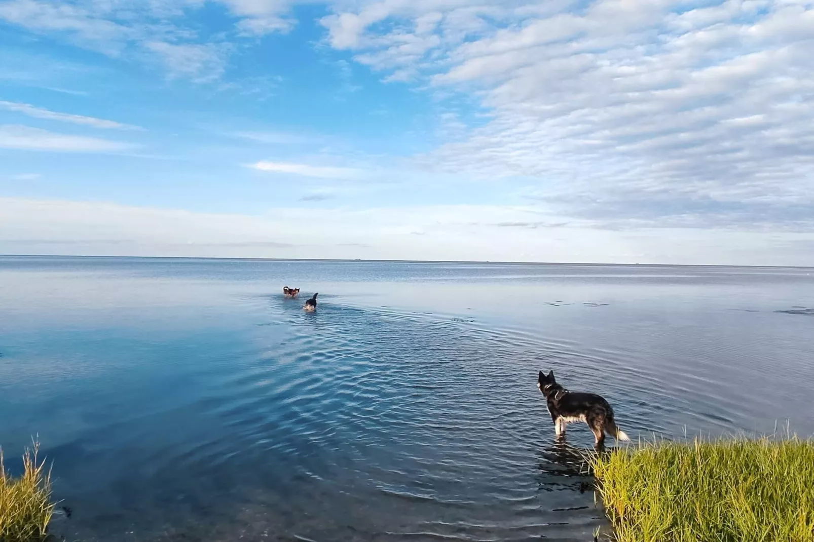 6 persoons vakantie huis in Ørsted-By Traum-Waterzicht