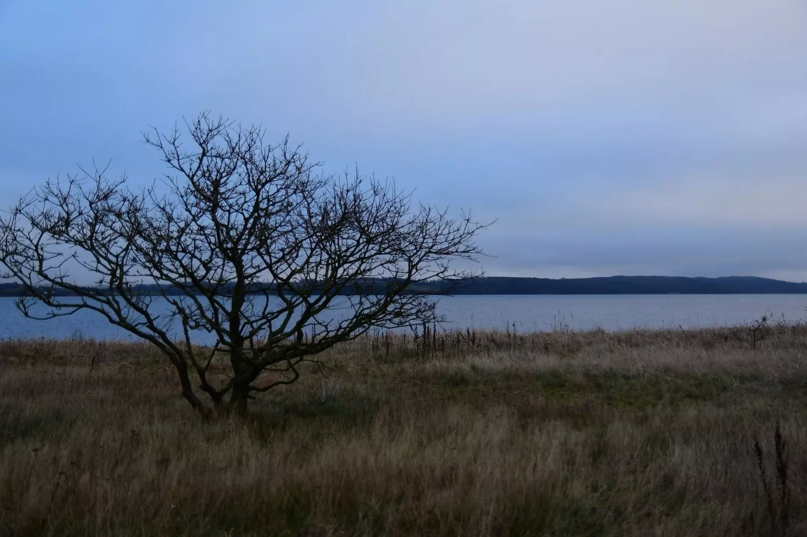 Gezellig toevluchtsoord nabij strand -- By Traum Ferienwohnungen-Waterzicht