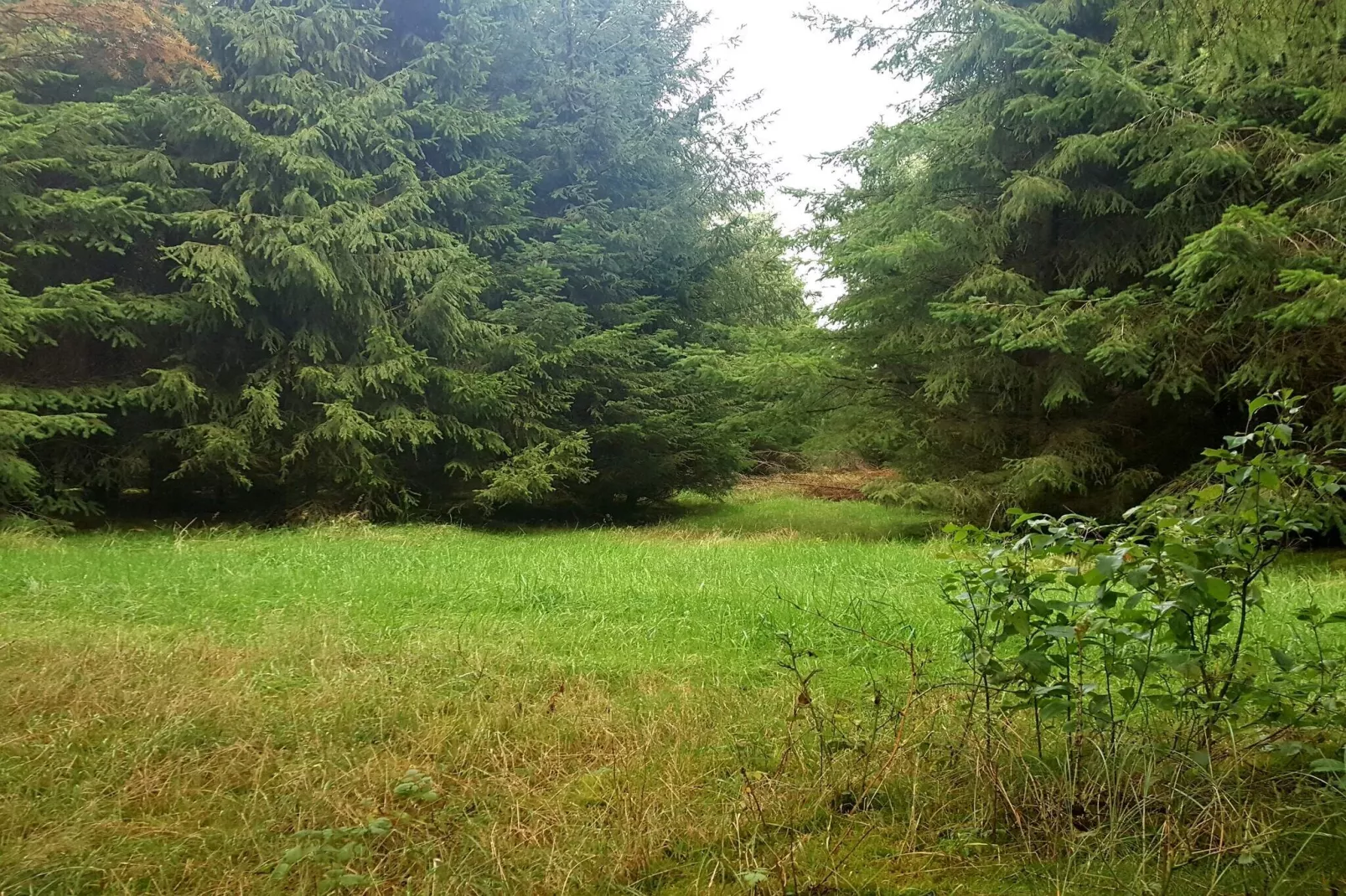 Gezellig toevluchtsoord in Arrild -- By Traum Ferienwohnungen-Niet-getagd