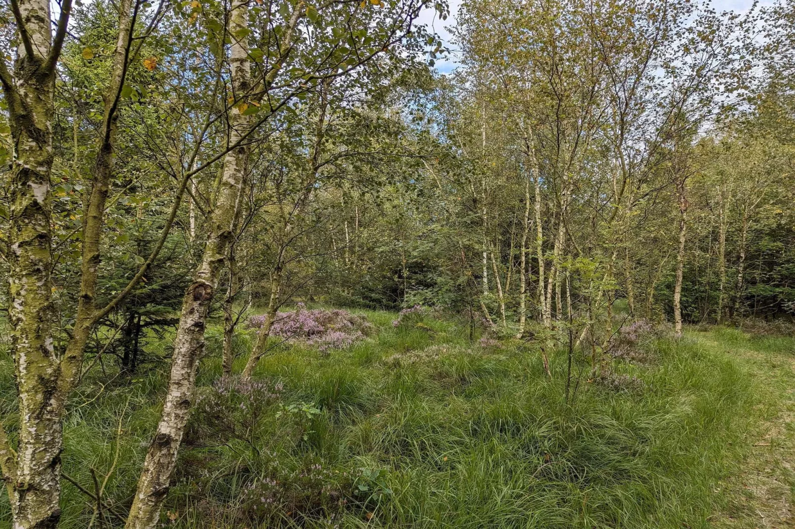 6 persoons vakantie huis in Toftlund-By Traum-Niet-getagd