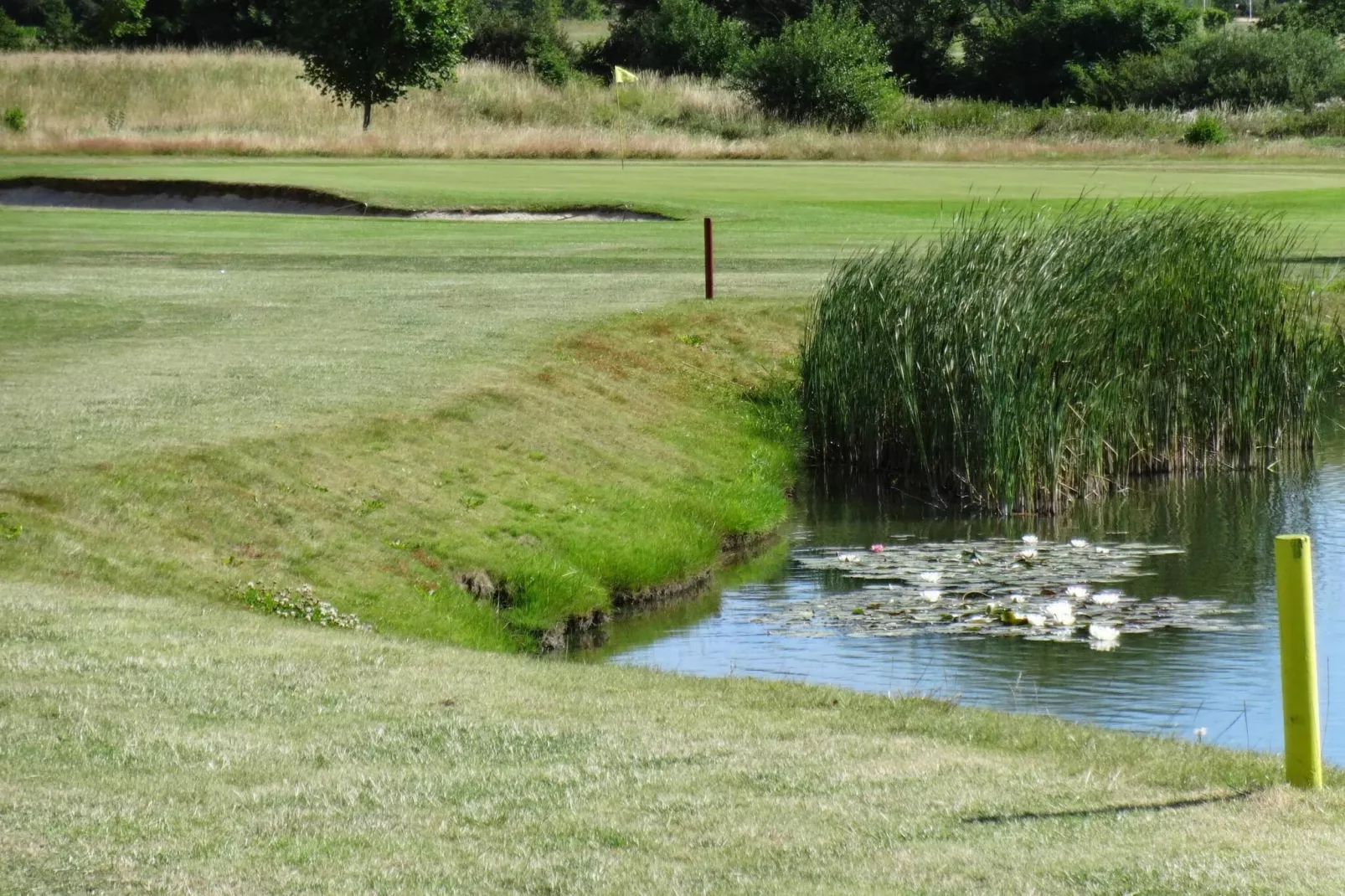Gezellig toevluchtsoord met spa -- By Traum Ferienwohnungen-Waterzicht