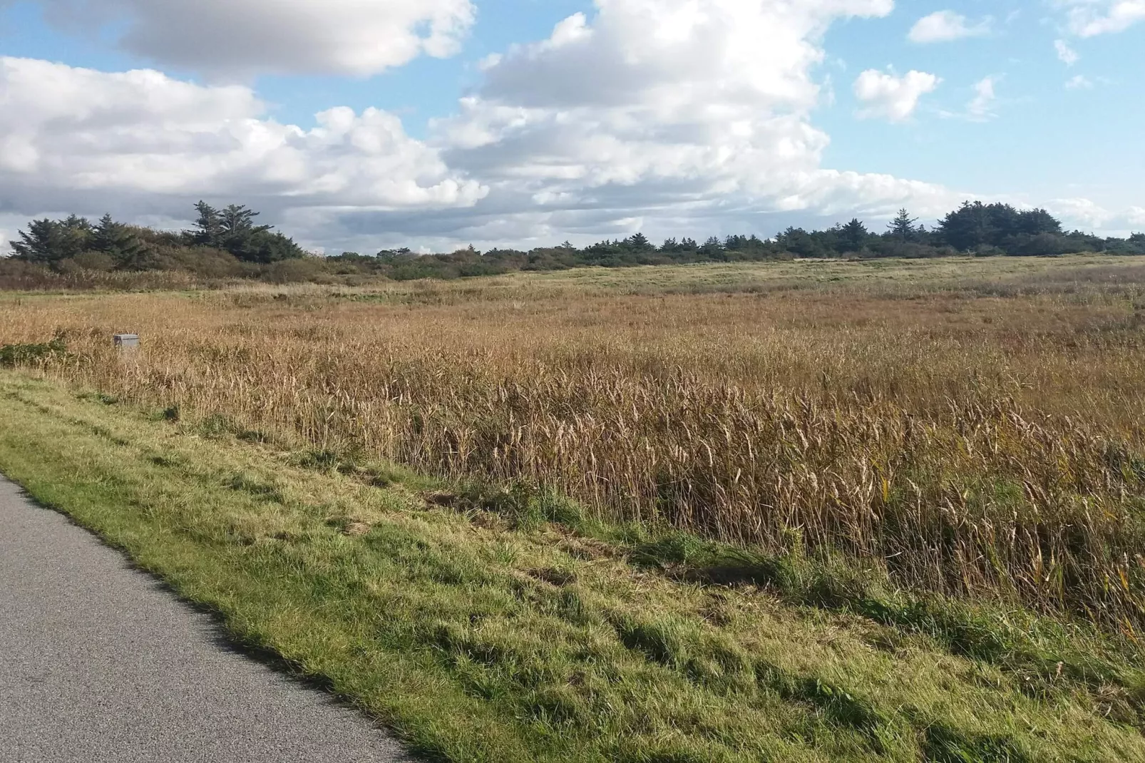 Knus huis bij Vesterhavet -- By Traum Ferienwohnungen-Niet-getagd