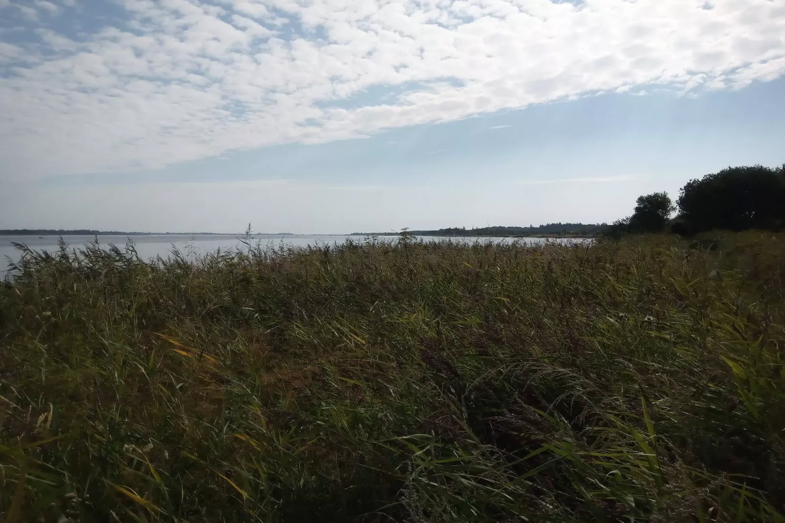 5 persoons vakantie huis in Storvorde-By Traum-Waterzicht