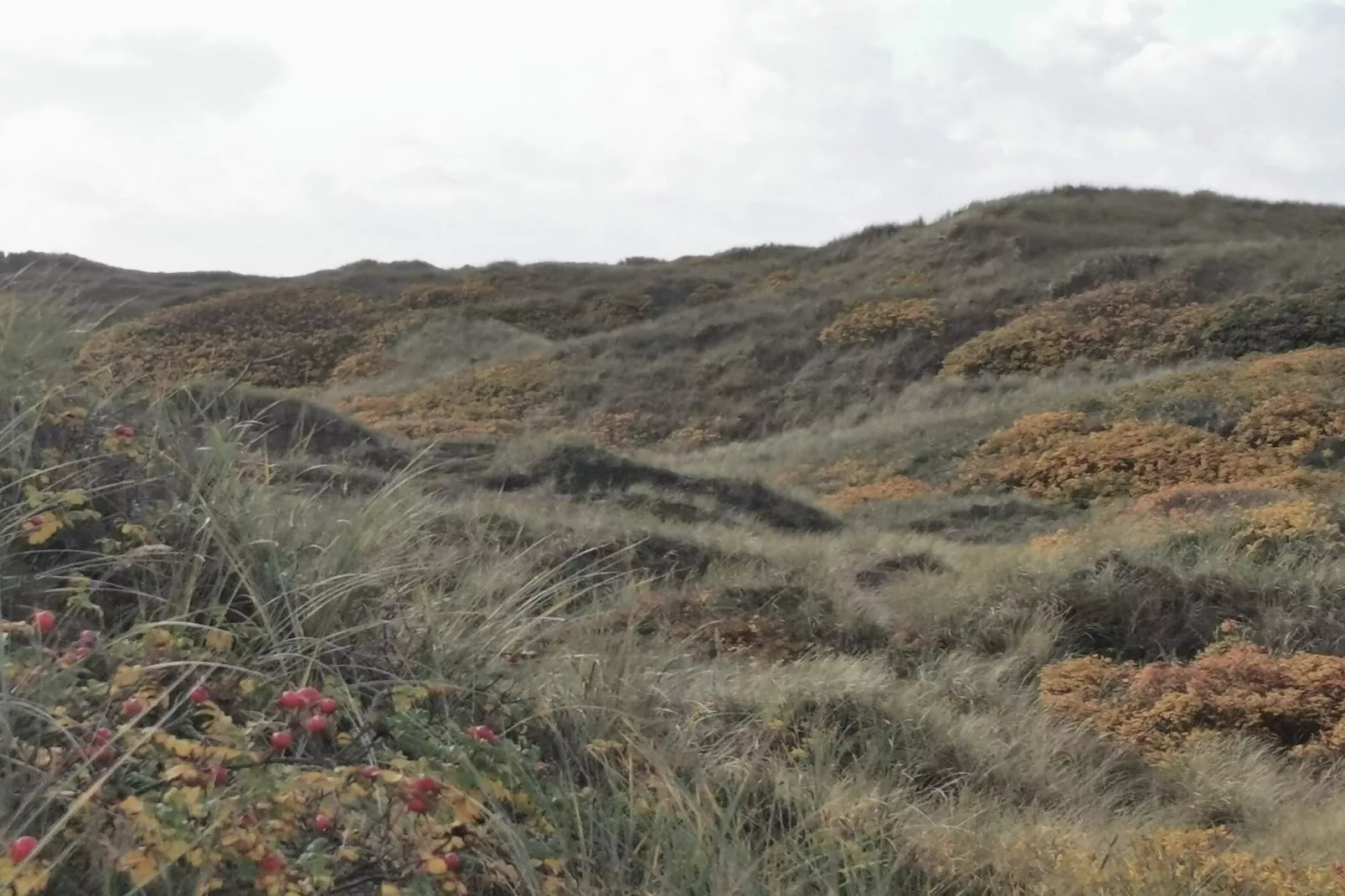 UDSIGTEN-Niet-getagd