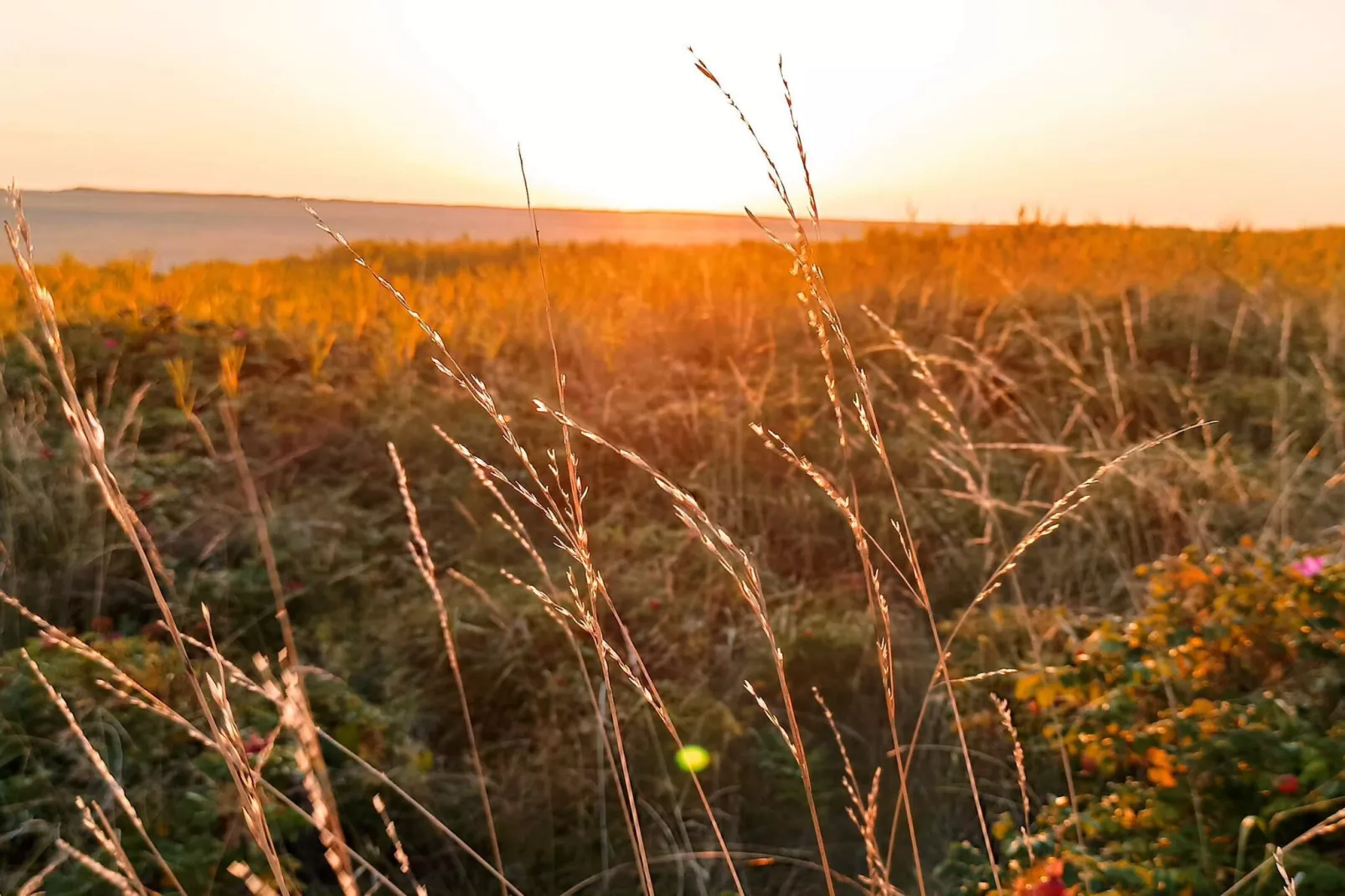 Moderne retraite nabij Vadehavet -- By Traum Ferienwohnungen-Niet-getagd