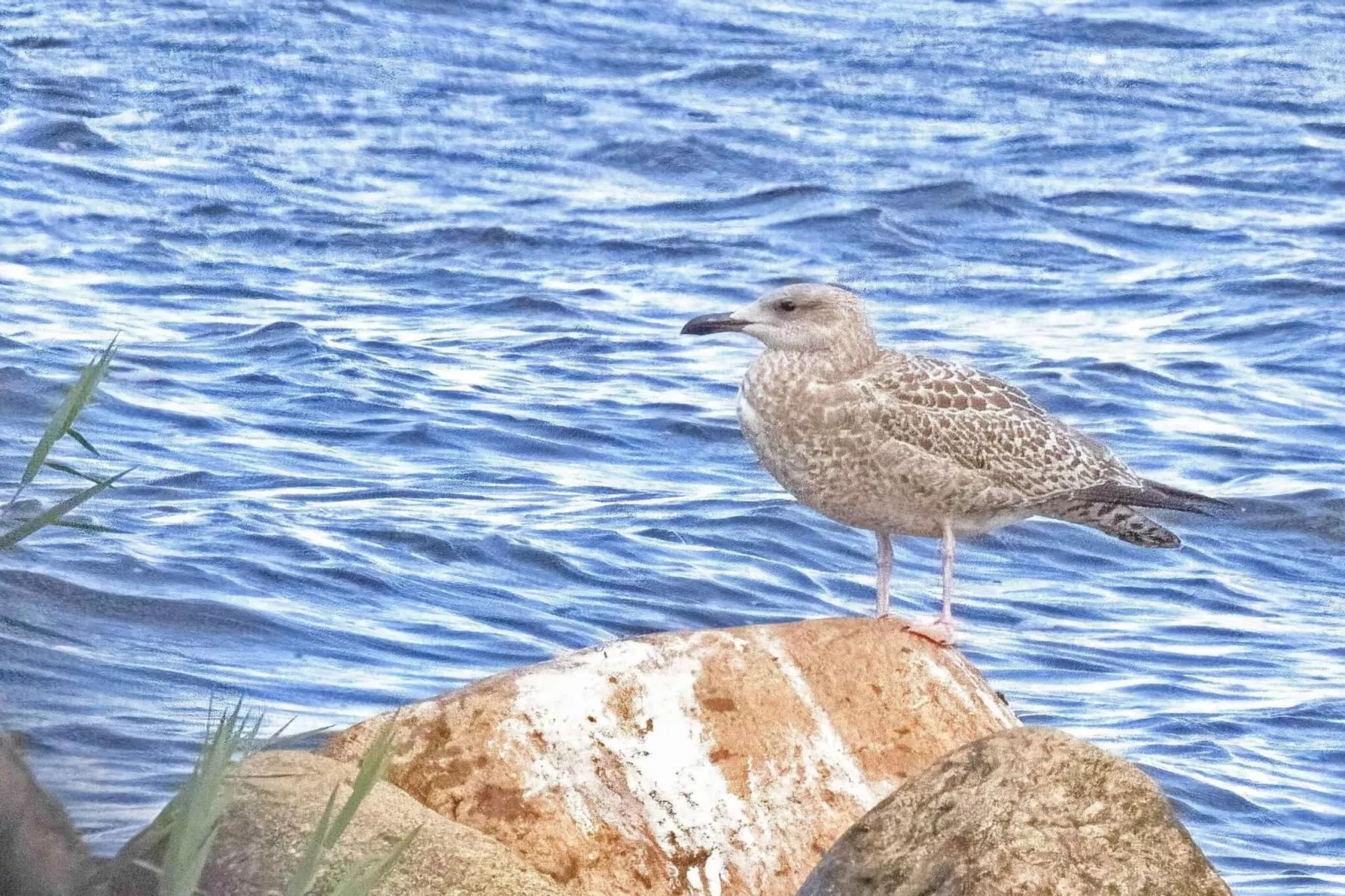 Afgelegen oase bij fjord -- By Traum Ferienwohnungen - Waterzicht